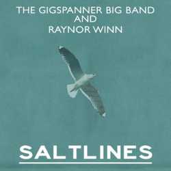 SALTLINES 