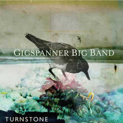 'TURNSTONE' CD